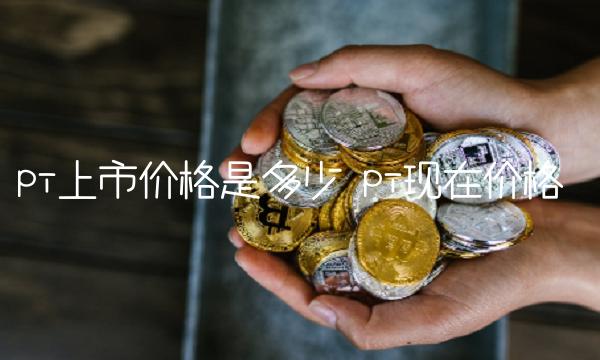 pi上市价格是多少-第1张图片-交易所